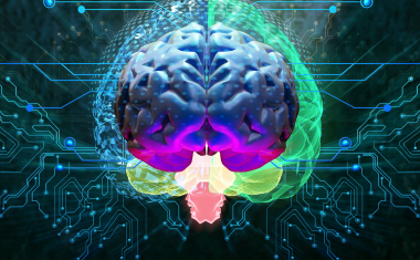 HEMISFÉRIOS CEREBRAIS e o CÉREBRO TRINO [Saiba mais]