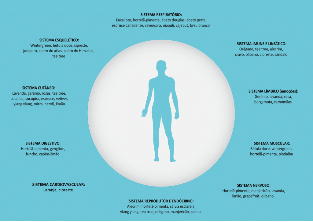 corpo humano aromaterapia 1 1024x727 - AROMATERAPIA - Como obter os benefícios desta poderosa técnica